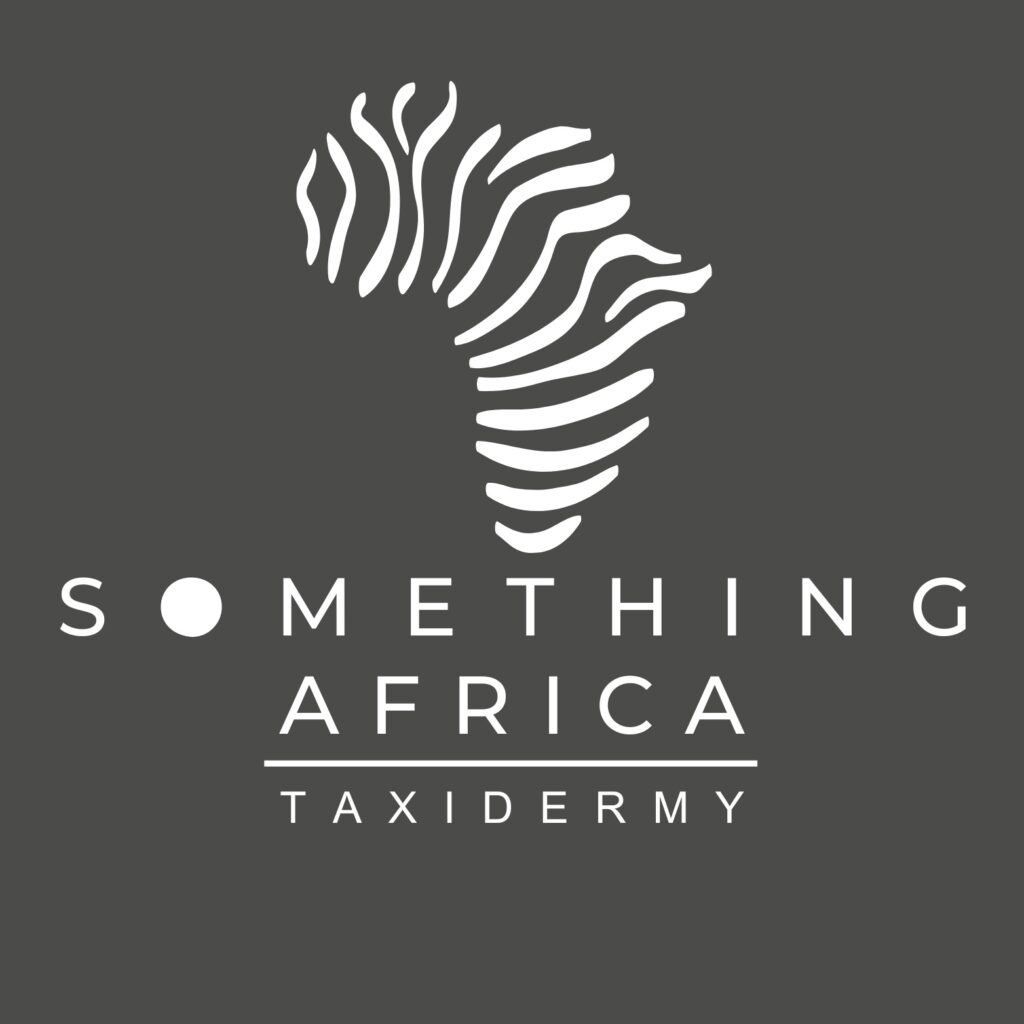 Copy of SOMETHING AFRICA TAXIDERMY LOGO – 3
