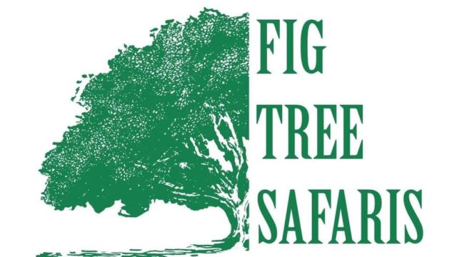 Figtree Safaris