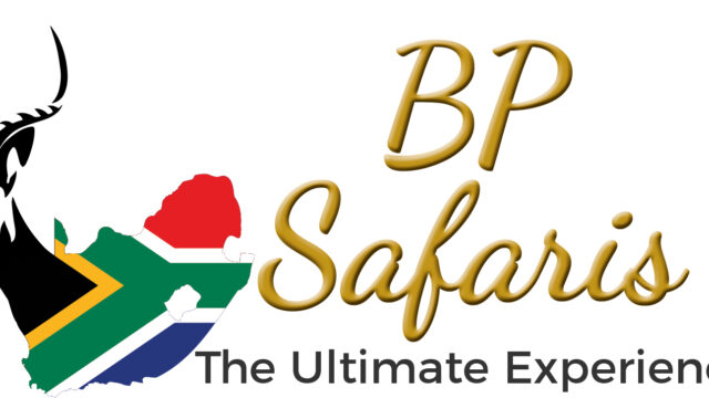 BP SAFARIS